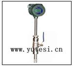 北京熱式氣體質(zhì)量流量計